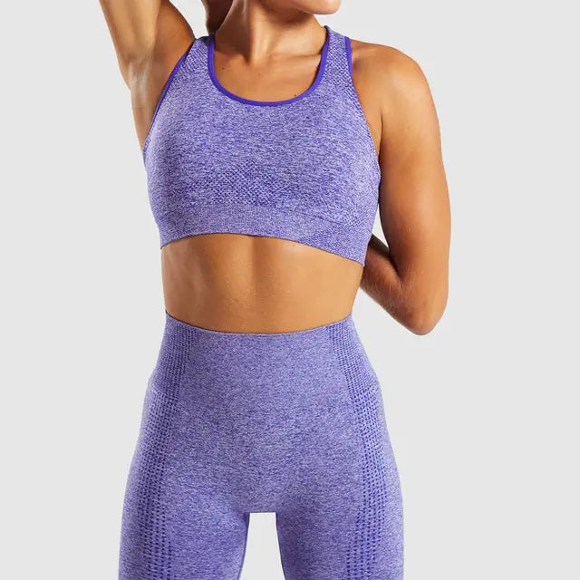 Seamless Quick Drying Yoga Sports Bra